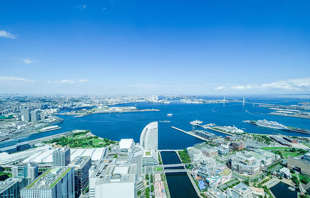 社会